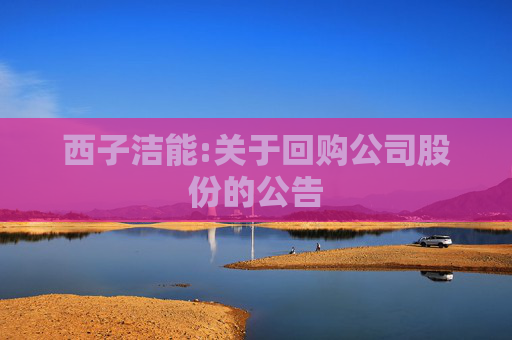 西子洁能:关于回购公司股份的公告