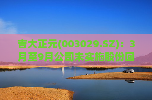 吉大正元(003029.SZ)：3月至9月公司未实施股份回购