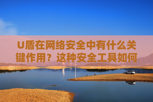 U盾在网络安全中有什么关键作用？这种安全工具如何保护个人和企业的敏感信息？