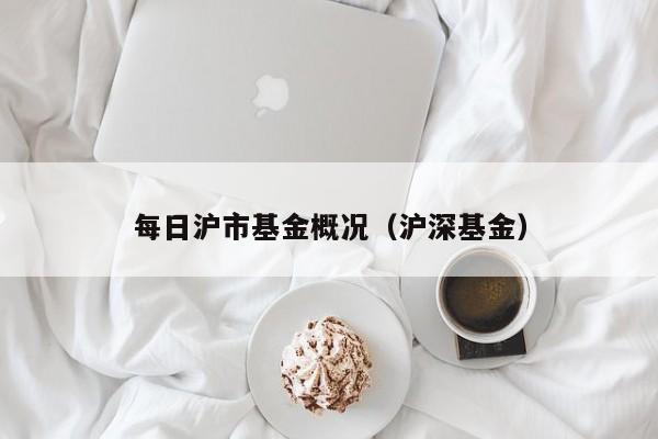 每日沪市基金概况（沪深基金）