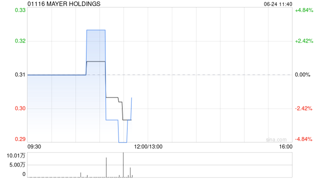 MAYER HOLDINGS：中正天恒获任独立核数师